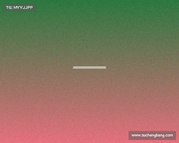 布冯之子路易斯在比萨热身赛中闪耀进球引发关注 布冯之子路易斯在比萨热身赛中闪耀进球引发关注